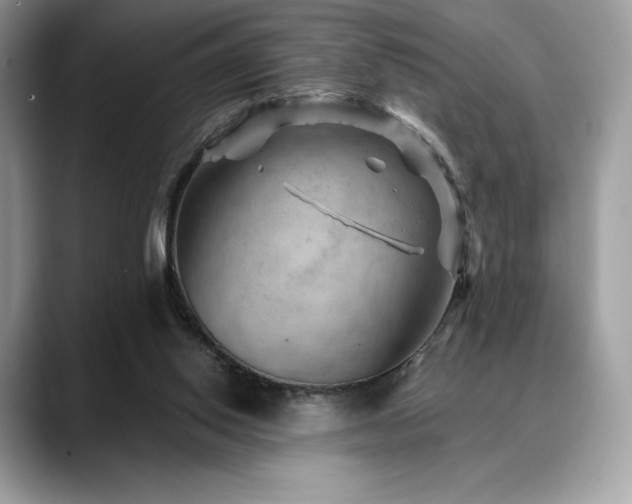 X0000088730062200705311436