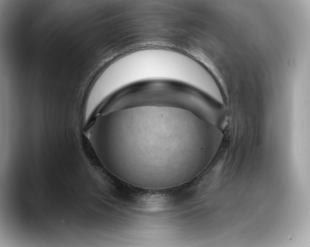 X0000088730063200705311436