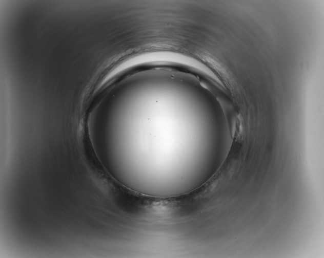 X0000088730064200705311436