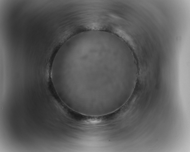X0000088730065200705311436