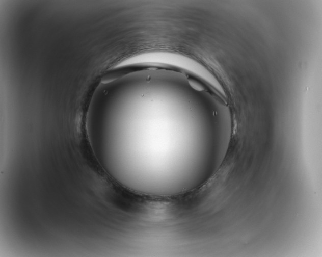 X0000088730066200705311436