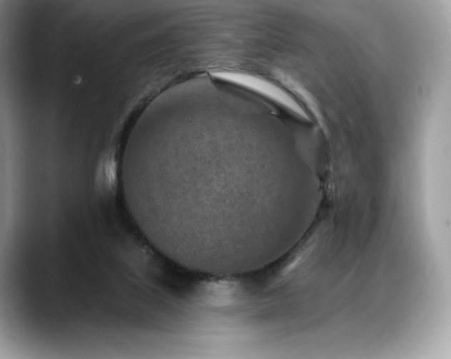 X0000088730067200705311436