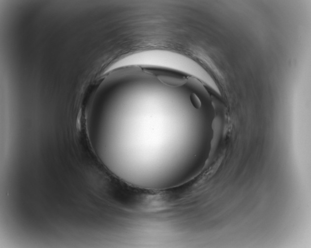 X0000088730068200705311437