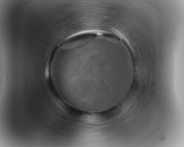 X0000088730069200705311437