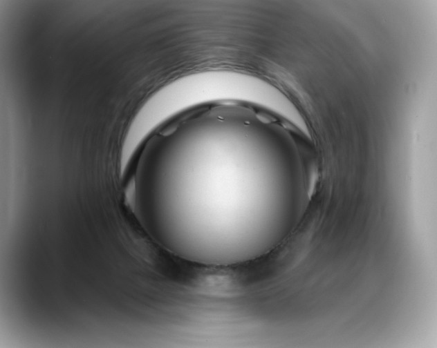 X0000088730073200705311437