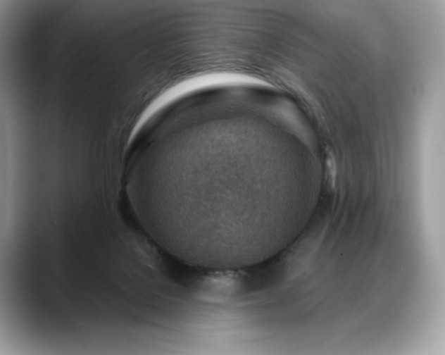 X0000088730076200705311437