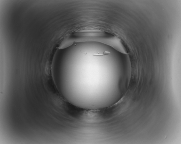 X0000088730078200705311437