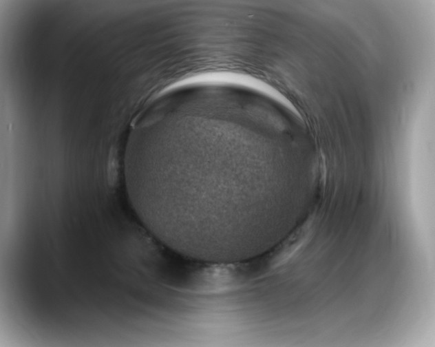 X0000088730080200705311437
