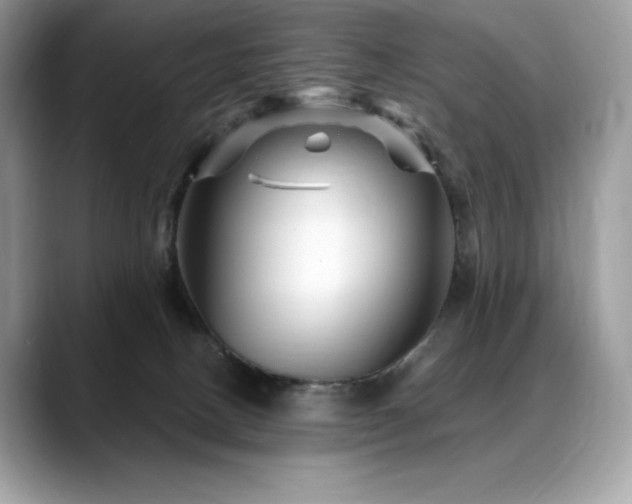 X0000088730082200705311437