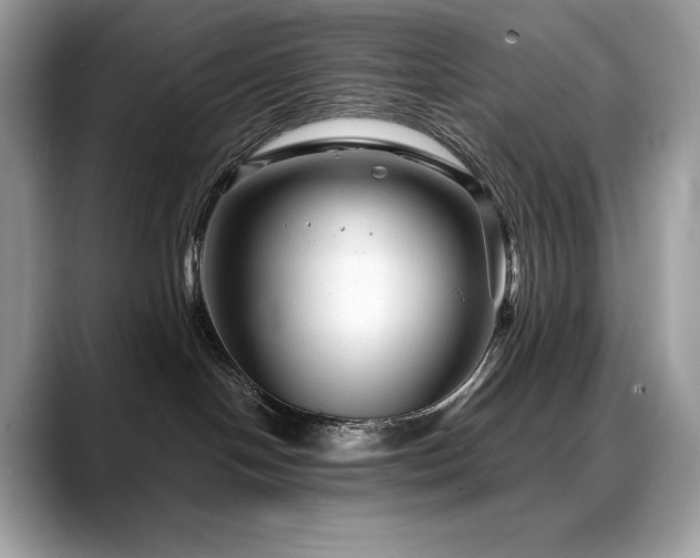 X0000088730094200705311437