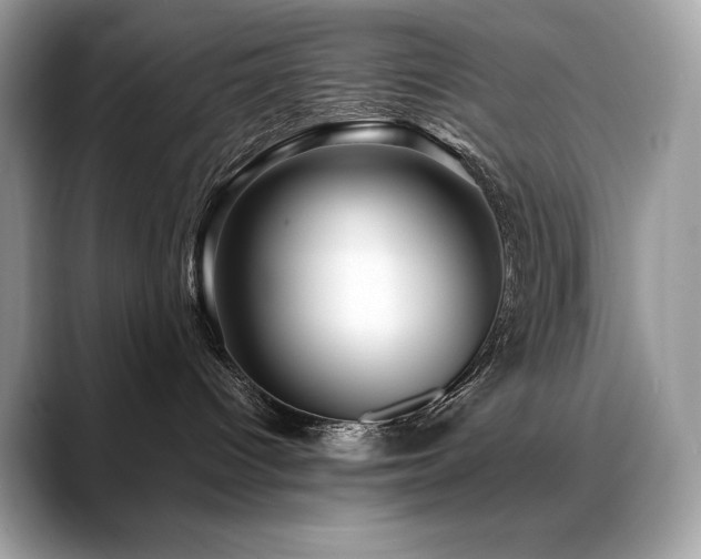 X0000088730096200705311437