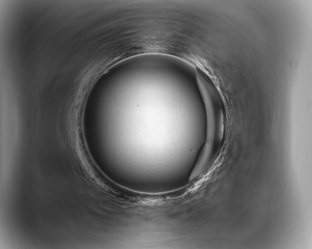 X0000088730097200705311436