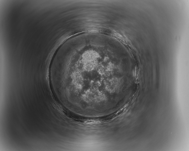 X0000088730099200705311436
