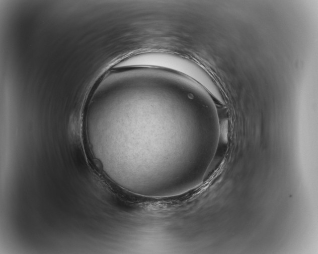 X0000088730100200705311436