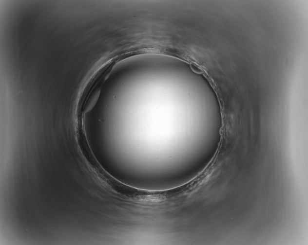 X0000088730102200705311436