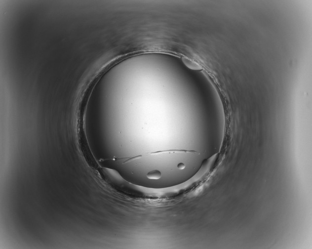 X0000088730103200705311436