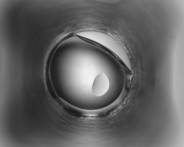 X0000088730104200705311436