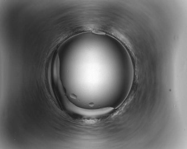 X0000088730105200705311436