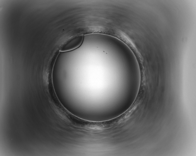 X0000088730106200705311436