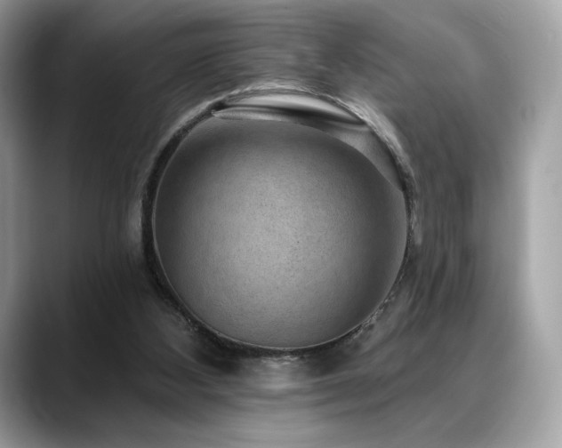 X0000088730108200705311436