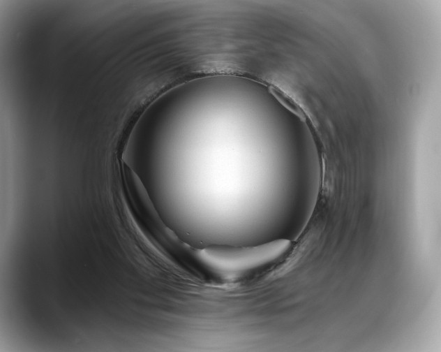 X0000088730109200705311436