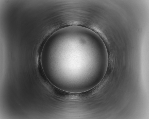 X0000088730110200705311436