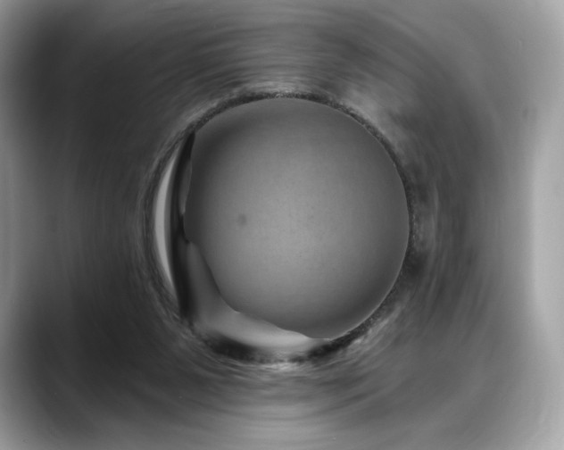 X0000088730111200705311436