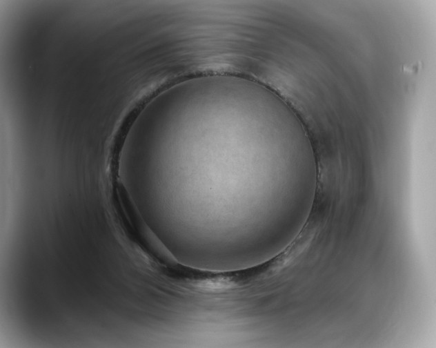 X0000088730112200705311436
