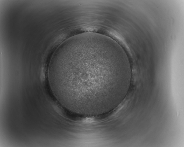 X0000088730114200705311436