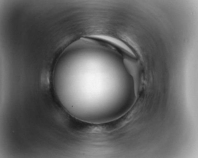 X0000088730115200705311436