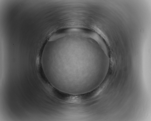 X0000088730117200705311436