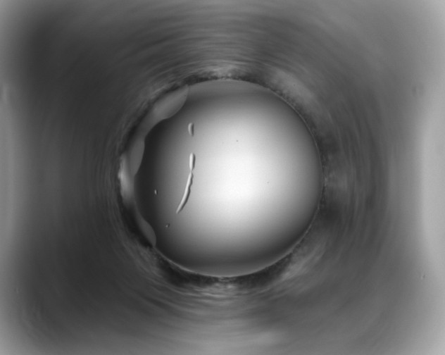 X0000088730119200705311436