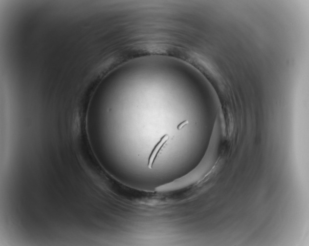 X0000088730120200705311436