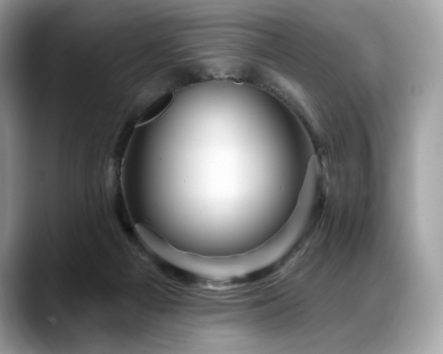 X0000088730121200705311436