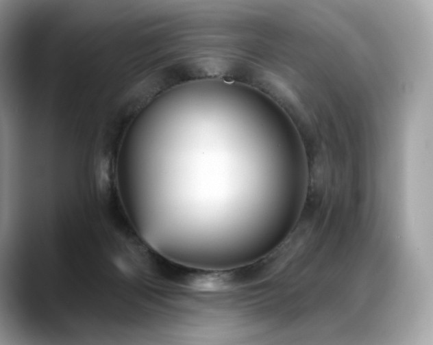 X0000088730122200705311436