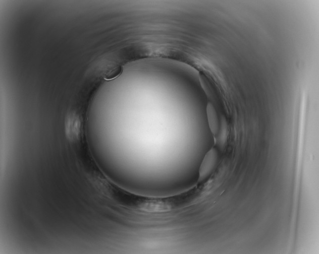 X0000088730123200705311436