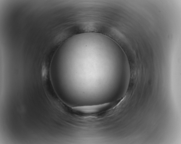 X0000088730124200705311436