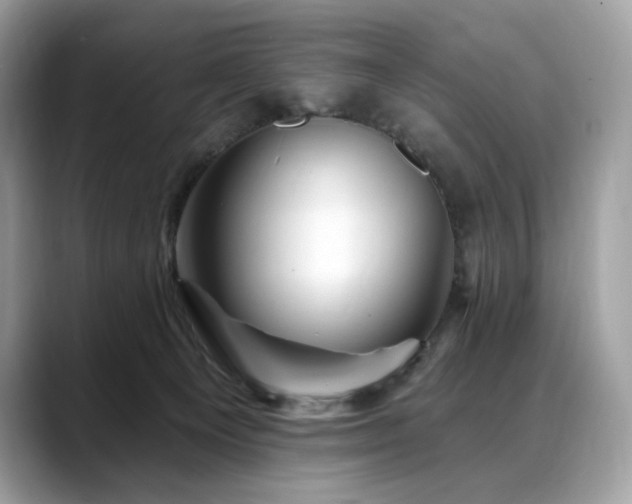 X0000088730129200705311436