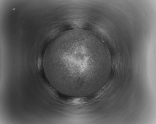 X0000088730130200705311436