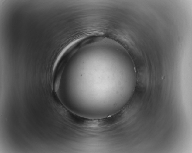 X0000088730131200705311436