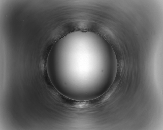 X0000088730135200705311436