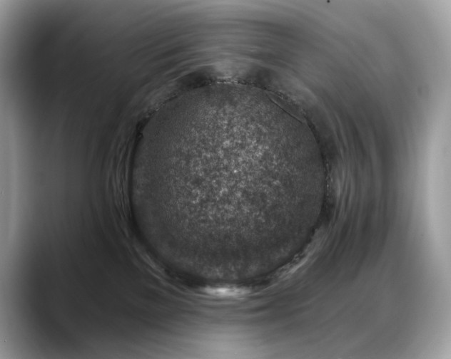 X0000088730137200705311436