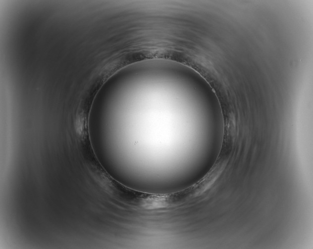 X0000088730138200705311436