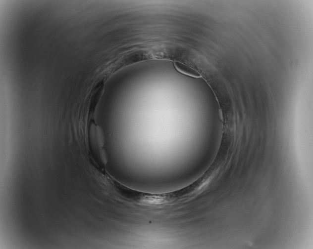 X0000088730139200705311436