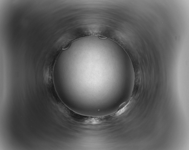 X0000088730140200705311436