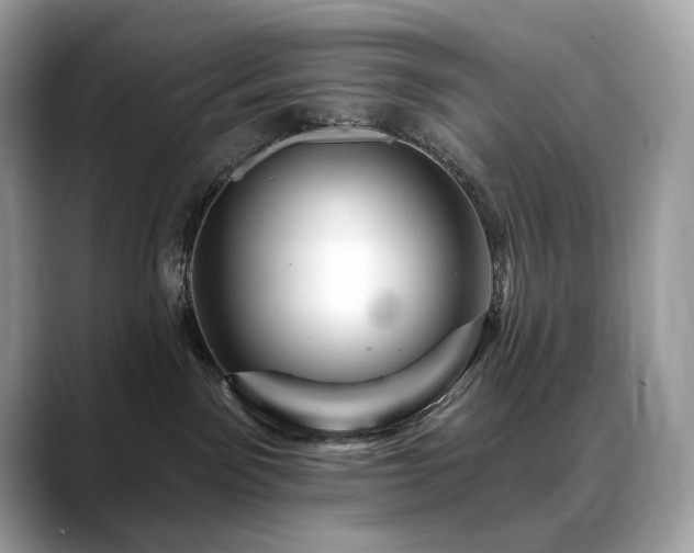 X0000088730141200705311436