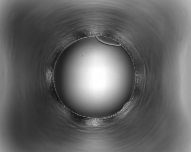 X0000088730142200705311436