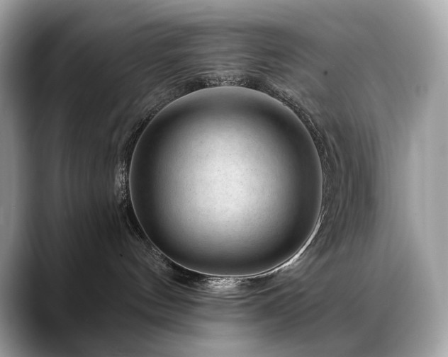 X0000088730144200705311436