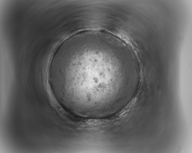 X0000088730145200705311435