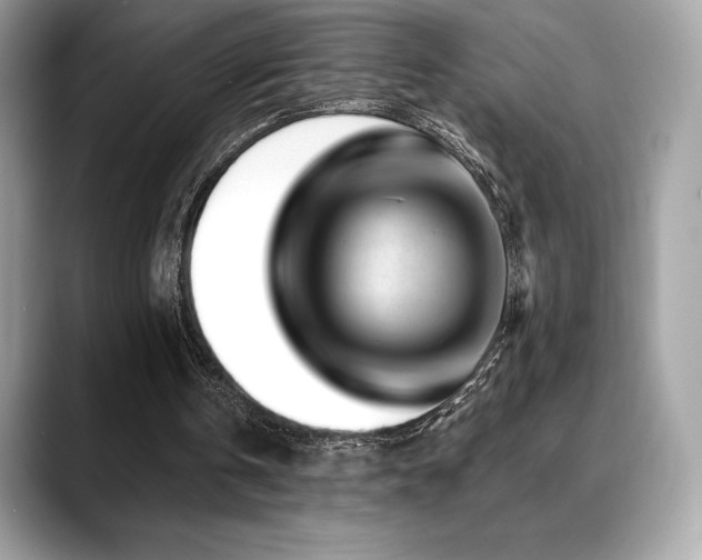 X0000088730146200705311435